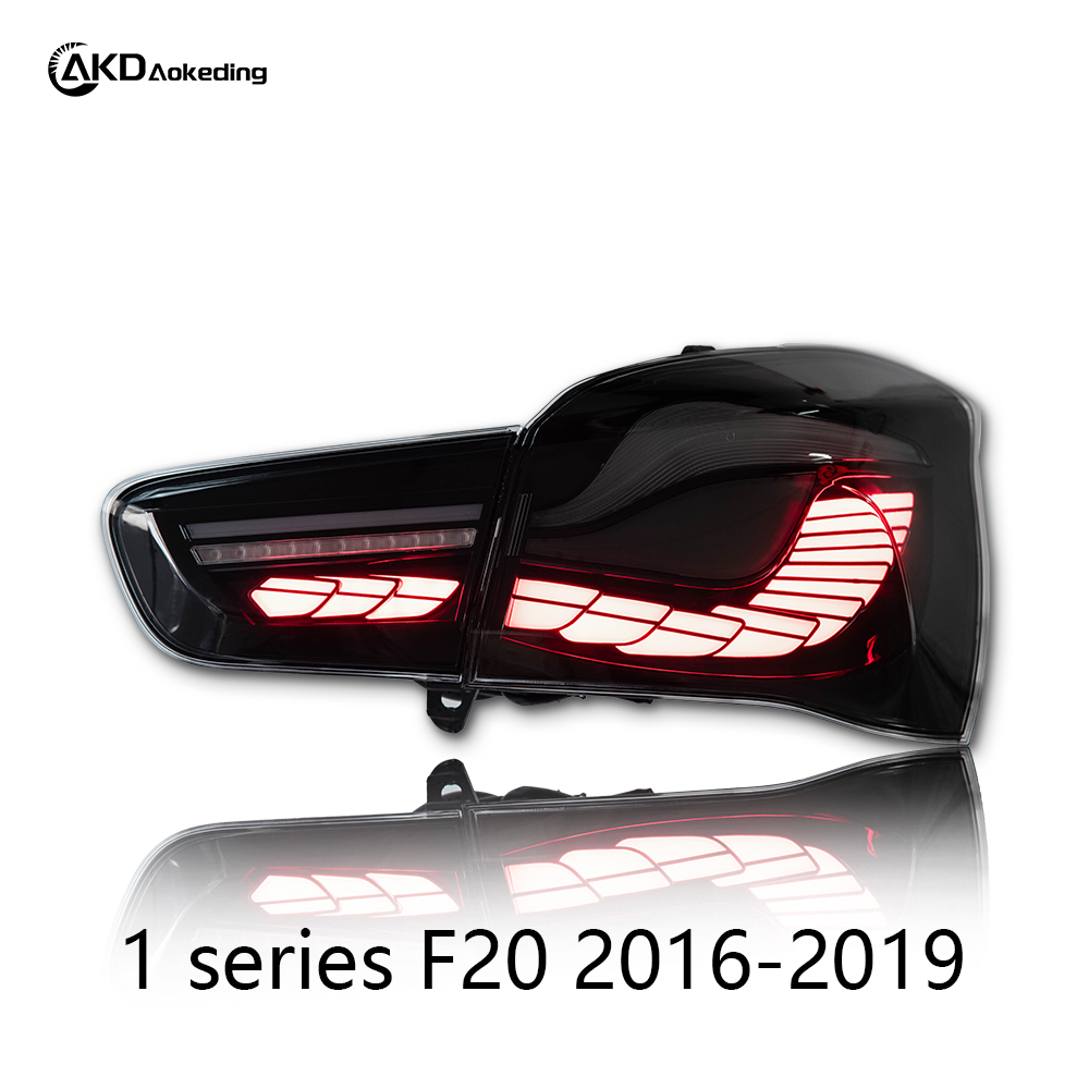 AKD taillight assembly for 2015-2019 BMW 1 Series, F20/F21 modified with dragon scale LED taillights and flowing turn signals.